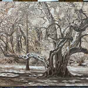Old Tree aka The Park by Steve Miller, Image 4.