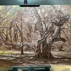 Old Tree aka The Park by Steve Miller, Image 5.