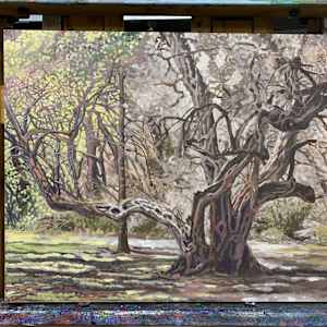 Old Tree aka The Park by Steve Miller, Image 6.