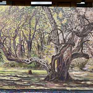 Old Tree aka The Park by Steve Miller, Image 7.