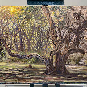 Old Tree aka The Park by Steve Miller, Image 8.