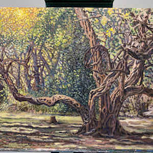 Old Tree aka The Park by Steve Miller, Image 10.
