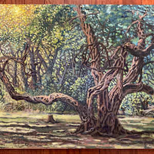 Old Tree aka The Park by Steve Miller, Image 11.