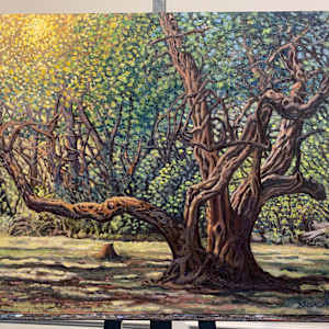Old Tree aka The Park by Steve Miller, Image 12.