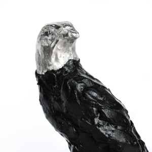 Untitled (Alchemy Eagle) by Chantal Powell  