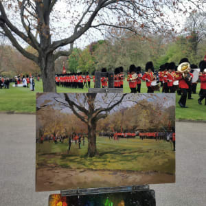 Triservice Presentation of New Standard and Colours inside Buckingham Palace by Rob Pointon 