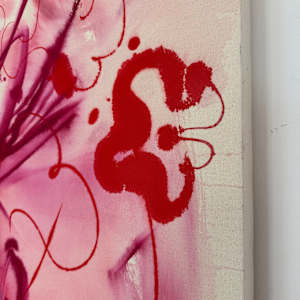 Feathers and blooms by Manuela Karin Knaut, Image 2.