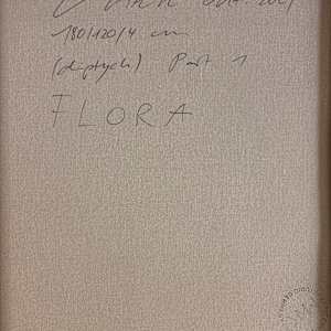 FLORA (diptych) by Manuela Karin Knaut 