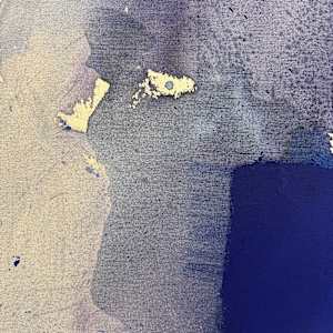 Blue Fields by Manuela Karin Knaut, Image 2.