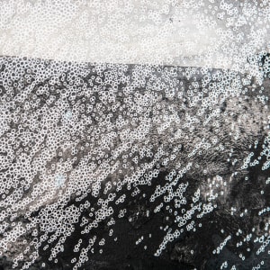 Squall  Image: Squall, detail