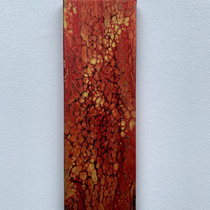 Redwood Bark by Debbie Kappelhoff 