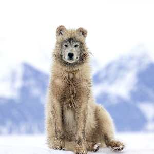 Remembering 22 (part II) 1/12  24X36" by Guadalupe Laiz | Gallery Space