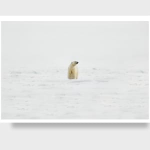 Inuit 1/12 40X60" by Guadalupe Laiz | Gallery Space