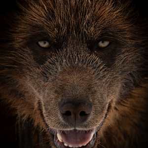 Echoes of the Pack by Guadalupe Laiz | Gallery Space