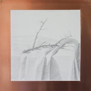 Cherry Branch with Lichen by Phil Went, Image 1.