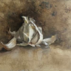Garlic in Studio by Suzy Schultz
