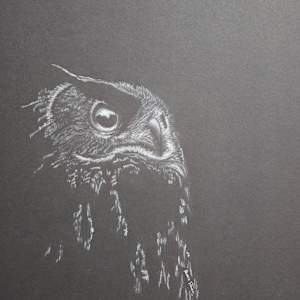 Watchful Eye by Rebecca Prince