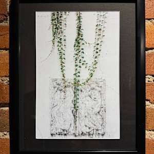 Touch of Nature #1  |  Framed by Jonathan Wheeler 