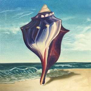 A Shell Found by Chris Kuithe