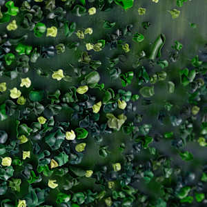 Forest by Anna Togrye 