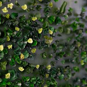 Forest by Anna Togrye 