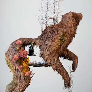 All the Light We Cannot See by Anna Togrye 