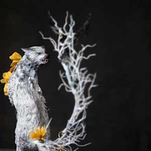 Conflicting Desires by Anna Togrye 