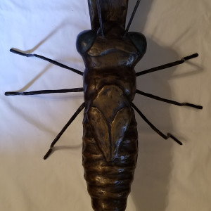 Dragonfly Larva 1/1 by Elizabeth A. Zokaites 