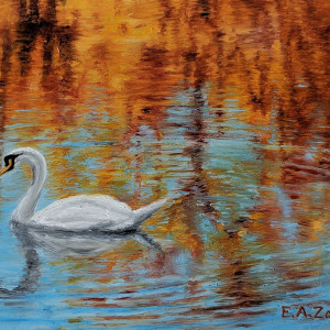 Swan Reflections by Elizabeth A. Zokaites 