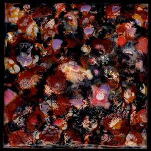 Microcosmos 13 by Marilyn Banner, Image 1.