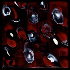 Microcosmos 6 by Marilyn Banner, Image 1.