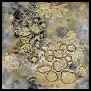 Raval 1 by Marilyn Banner