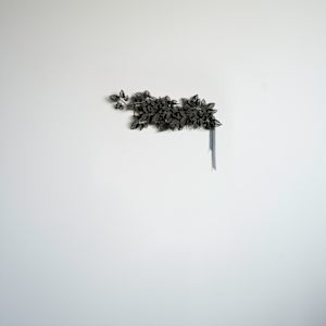 Forget me not by Taylor Kibby 