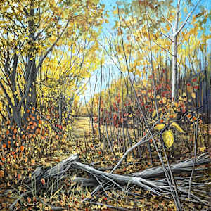 Yellow Fall and Deadfall by Diane Larouche Ellard
