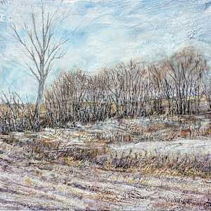 Winter Textures by Diane Larouche Ellard