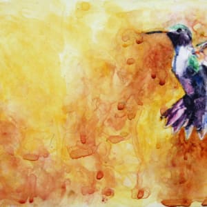 Hummingbird by Elisha 