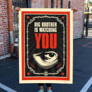 Big Brother is watching you 