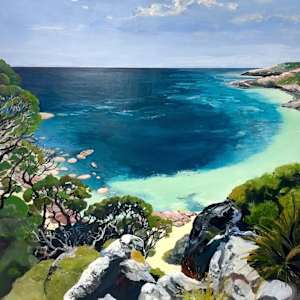 Secret Cove by Karina Buckingham 