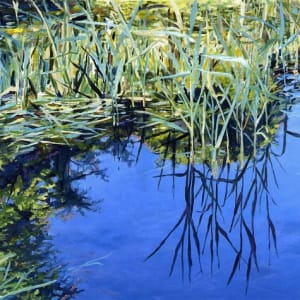 Reeds and Sky by Pat Ralph
