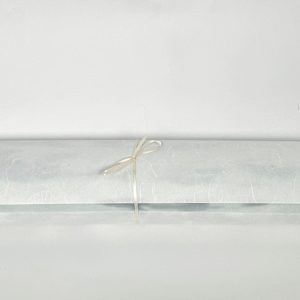 Mallard's Dream II by Barbara Hocker 