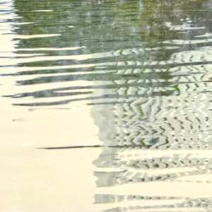 Mallard's Dream I by Barbara Hocker