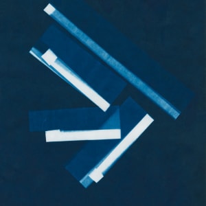 Photogram 13: Paper Gliders