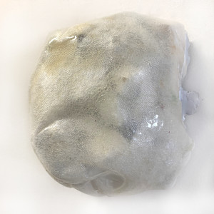 le désordre des choses, no. 4 by Connie Noyes 