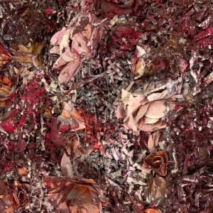 I never promised you______. by Connie Noyes 