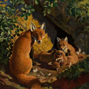 Fox Family, Mother & Cubs by Charles Frederick Tunnicliffe
