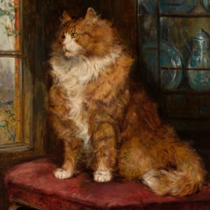 Study of a Ginger Cat by Philip Eustace Stretton