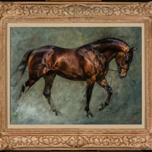 Study of a Bay Stallion by Jamie Corum 