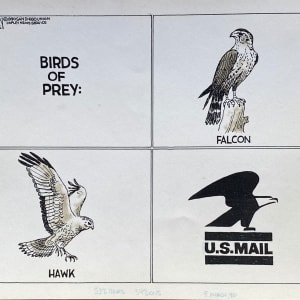 US Mail Birds of Prey by Steve Kelley