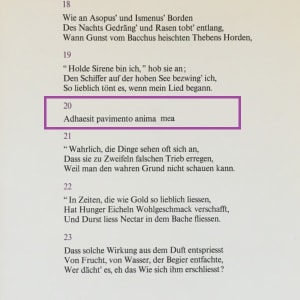 " Geiz und Verschwendung" F20 (German) "Avaricious" Göttliche Komödie (Purgatory 20) by Salvador Dali #D15 by Salvador Dali  Image: German Text for Canto 20