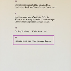 "Der  Geläuterte Dante" (German) "Dante Purified" Göttliche Komödie "Fegefeuer" F33 by Salvador Dali #D17 by Salvador Dali  Image: German Text for F33